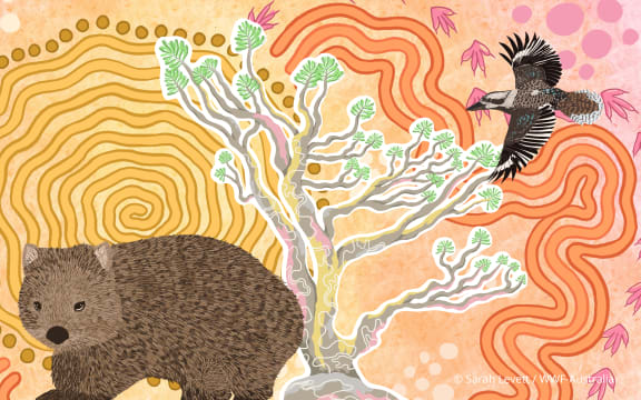 Indigenous Snow Gum Tree art from Wiradjuri and Gundungurra artist Sarah Levett.