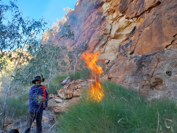 Head Nyikina Mangala Ranger, Albert Watson, using right-way fire management to protect wiliji habitat.