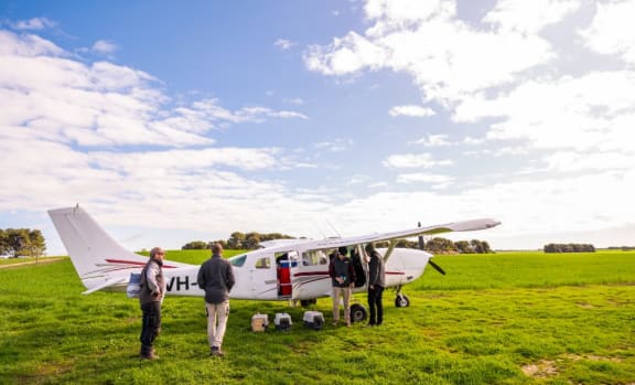 Brush-tailed bettongs are unloaded from a plane.