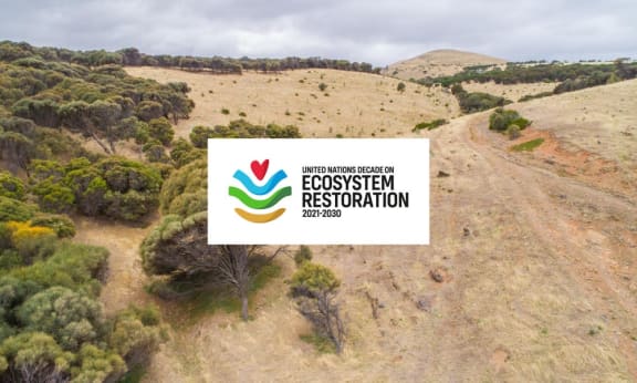 UN Decade on Ecosystem Restoration