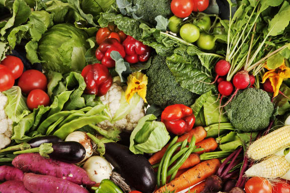 Collection of freshly picked vegetables. South Africa.