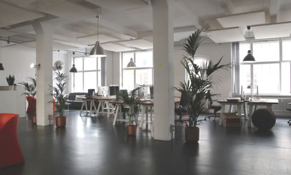 Green office workspace