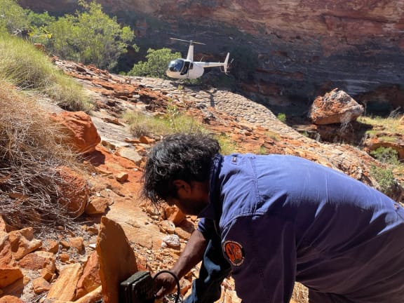 Nyikina Mangala Ranger Jeremiah Green deploying a camera for wiliji survey.