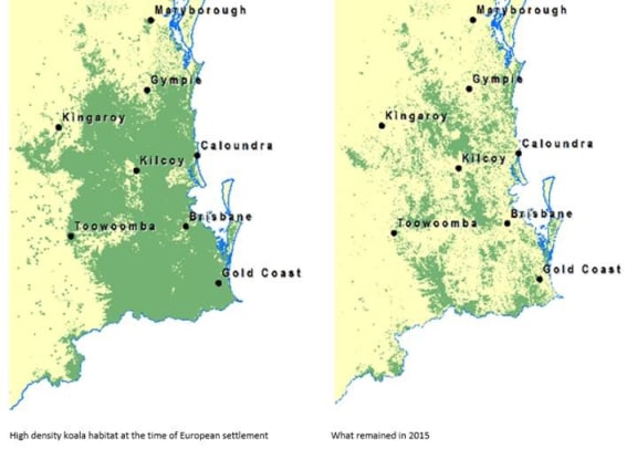 Decline of Queensland koala habitat over the last 200 years