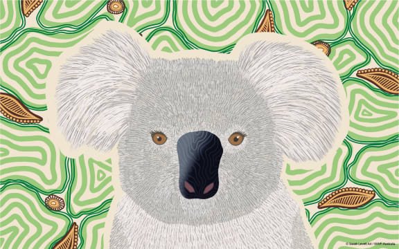 Indigenous koala art from Wiradjuri and Gundungurra artist Sarah Levett - desktop wallpaper.