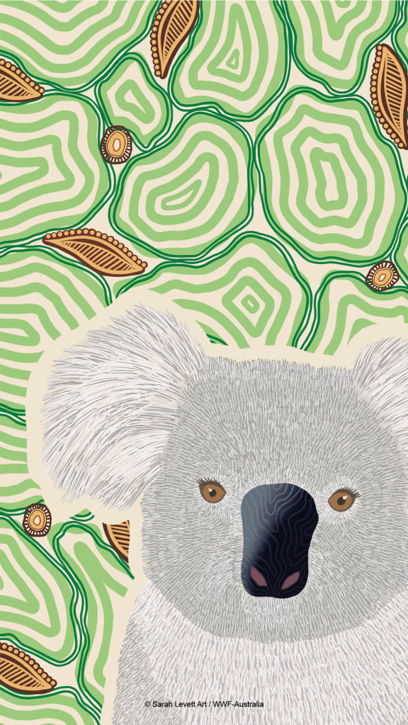 Indigenous koala art from Wiradjuri and Gundungurra artist Sarah Levett - mobile wallpaper.