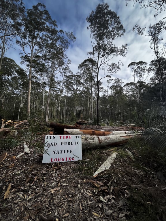 Forest debris and logs from logging less than 500m away from Aboriginal environmental leader  Takesa Frank’s family home.