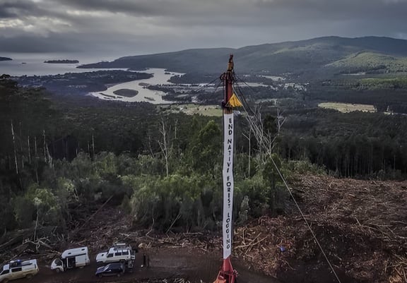 A protest Takesa Frank attended in Lutruwita, Tasmania, in 2023 with the Bob Brown Foundation. This protest halted logging for two days.