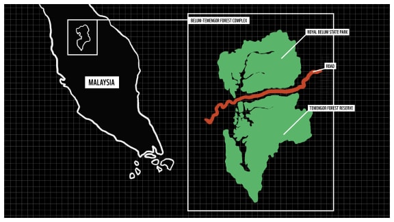 A black and white illustrative map shows Malaysia on the left, while a coloured illustrative map shows the Belum-Temengor Forest Complex in green, with a red road running through the centre.