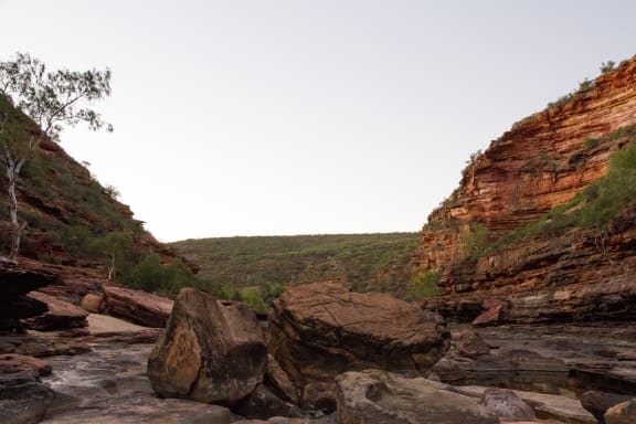 Black-flanked rock-wallaby territory, Murchison Gorge in Kalbarri National Park, Western Australia.
Department of Biodiversity, Conservation and Attractions (DBCA), with the financial and field assistance of WWF-Australia organised the translocation of black-flanked rock-wallabies (Petrogale lateralis) from Mt Caroline and Nangeen Hill to Kalbarri National Park.
The wallabies were processed and monitored overnight at a farmhouse in Mt Caroline and spent the night securely in black soft pouches. The wallabies were transported by car to Kellerberrin, then flown to Kalbarri National Park. 9th / 10th of May 2016.