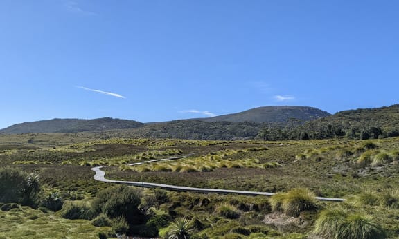A section of the Overland Track Tasmania