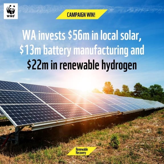 Federal Government invests in hydrogen export hub