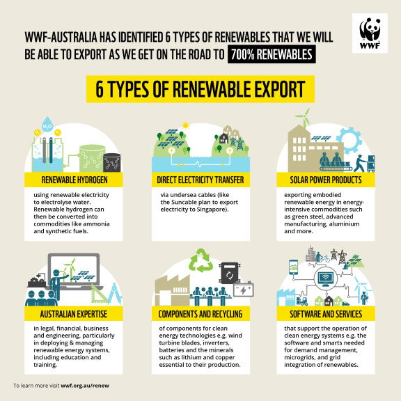Six types of renewable exports - Infographic