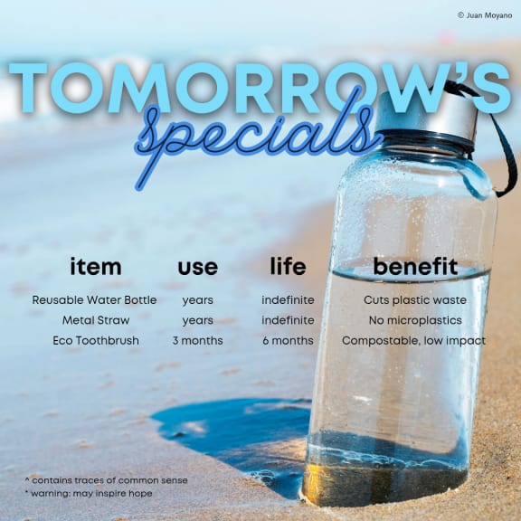 An image of a reusable water bottle on the beach under text explaining the benefits of using reusable and sustainable items.