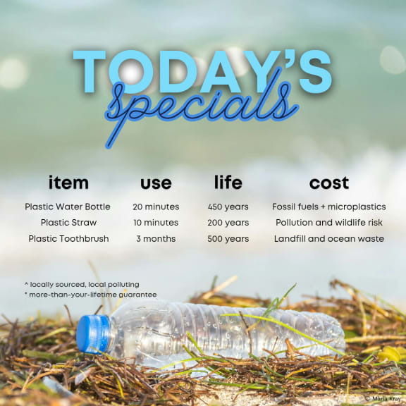 An image of a plastic water bottle on the beach is accompanied by text explaining the short use time of plastic water bottles, straws and toothbrushes, and how they take hundreds of years to break down.