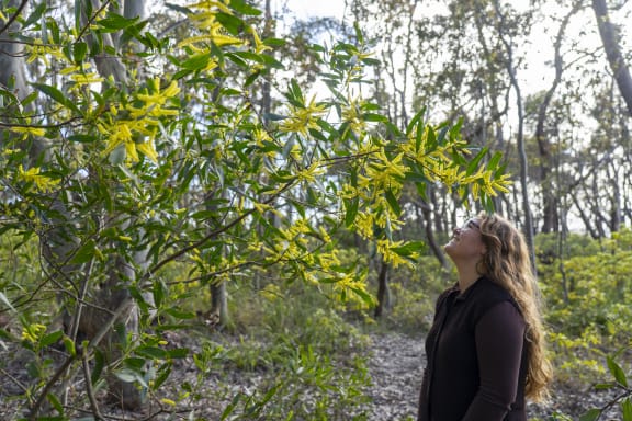 Takesa Frank in a forest at The Gantry.