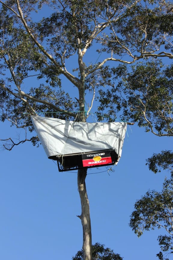 The treesit Takesa Frank was suspended in and displaying a sign ‘Protect Country’.