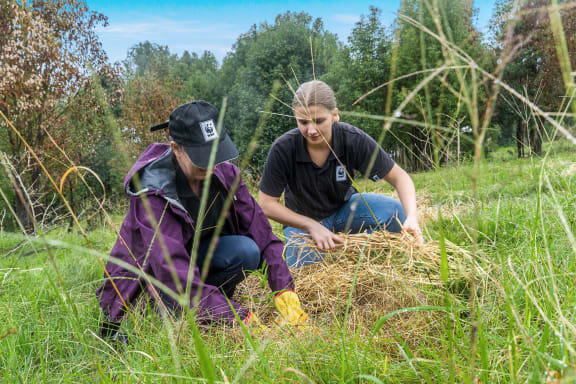 Community tree planting event in the Northern Rivers to help restore habitat.