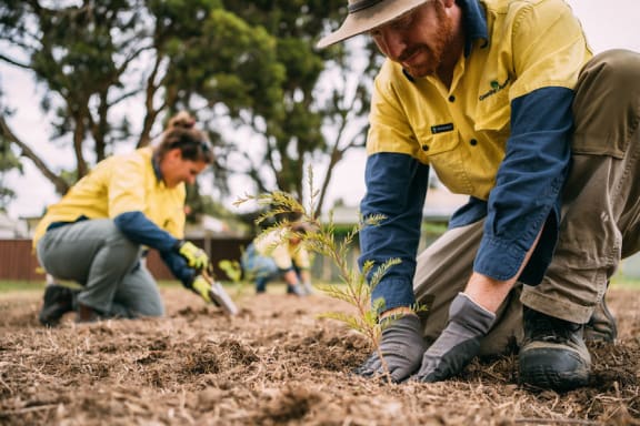 Greening Australia Great West Walk Tree Planting