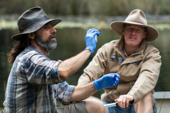 UNSW researcher Gilad Bino (left) and WWF-Australia’s Rob Brewster (right) collect samples of environmental DNA (eDNA) from a creek in the Royal National Park in Sydney