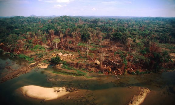 Amazon burnt by forest fires and surrounded by agricultural land
