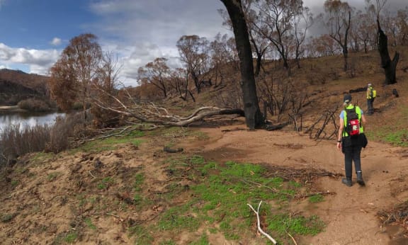 Wildcare Queanbeyan members out in-the-field practicing social distancing