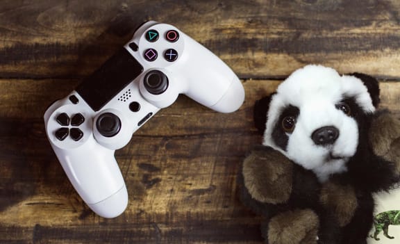 Panda and gaming controller ready for livestream