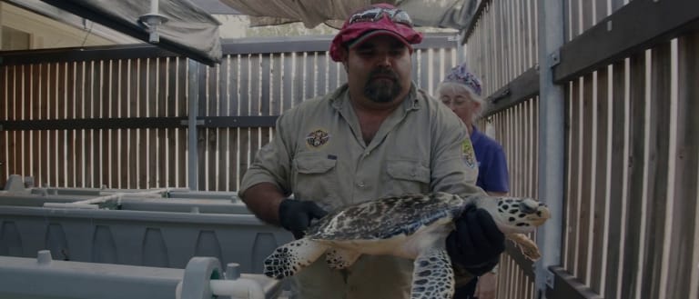 Australian Nature Needs Saltwater People Caring on Country