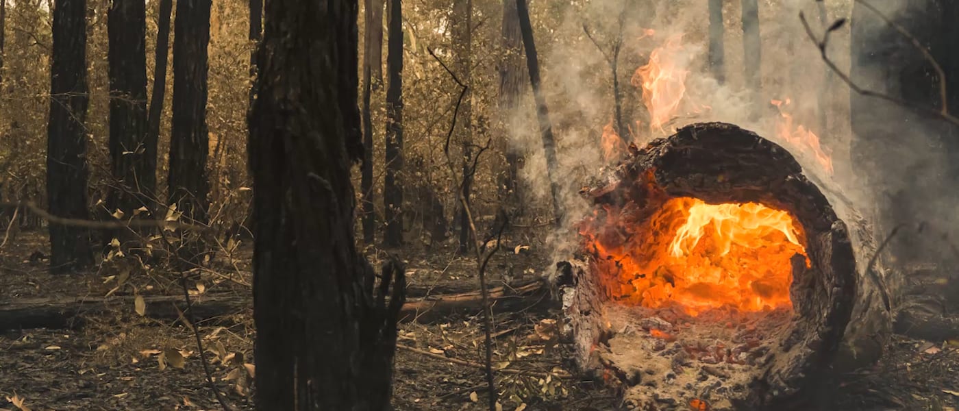 Bushfire Management Plan