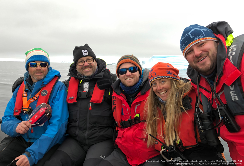 The next generation of Antarctic scientists – WWF-Australia | The next ...