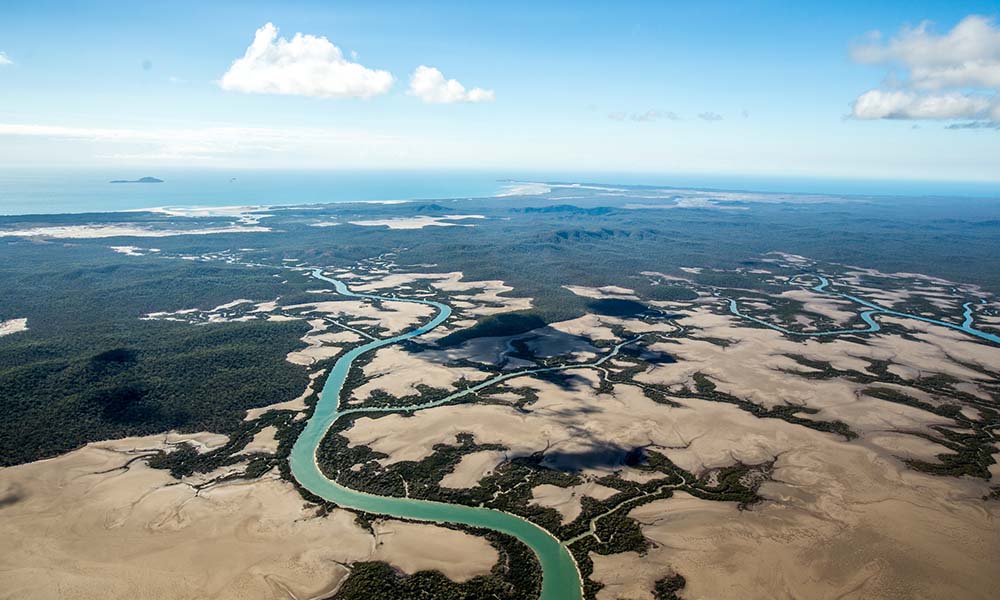 Queensland delivers big win for Reef by protecting Fitzroy Delta - WWF ...