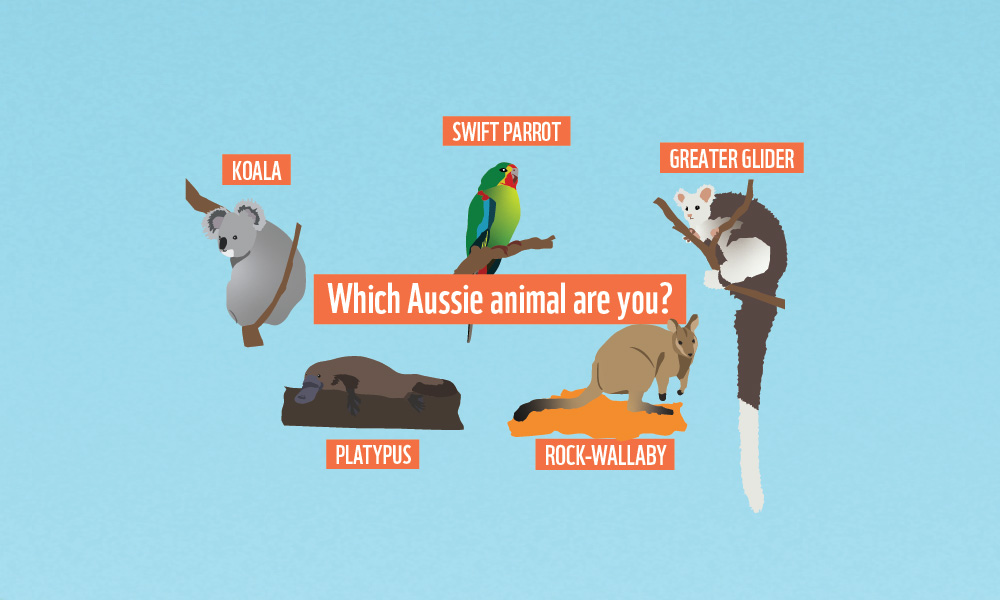 QUIZ Which Aussie animal are you WWF Australia QUIZ Which