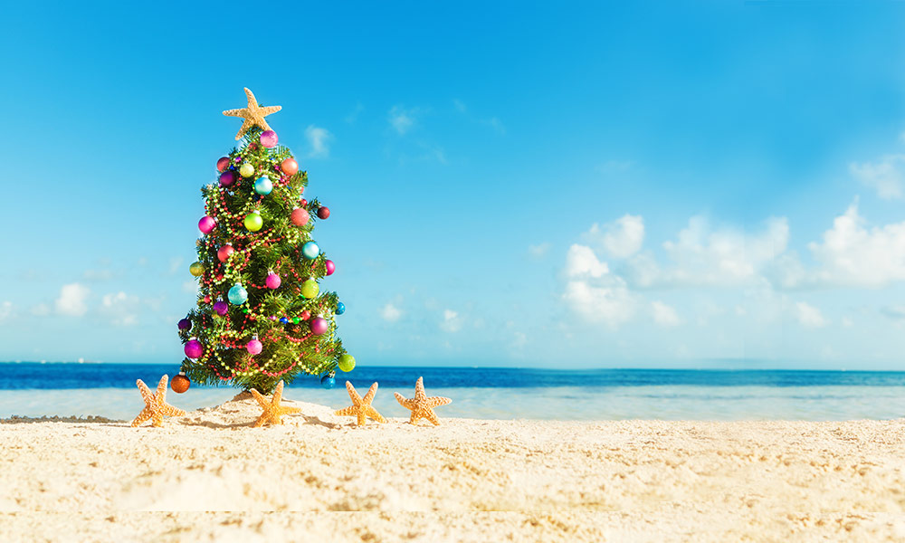 Australian shop christmas tree