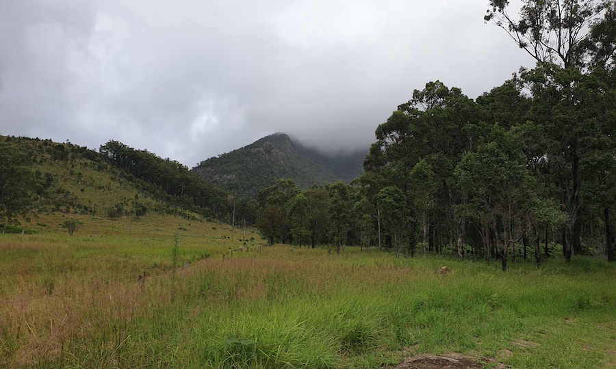 A misty day as we set off on the trail