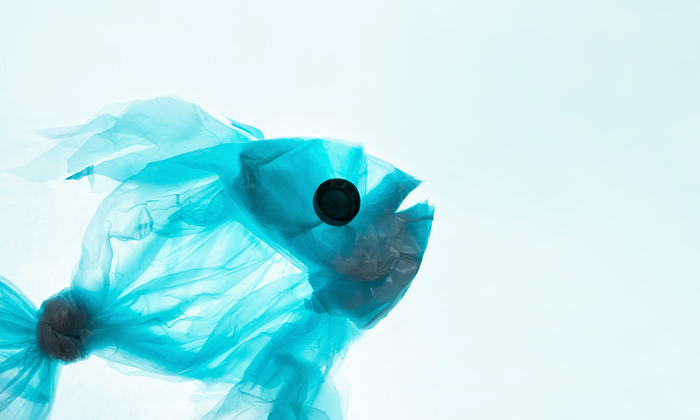 A fish made from a plastic bag