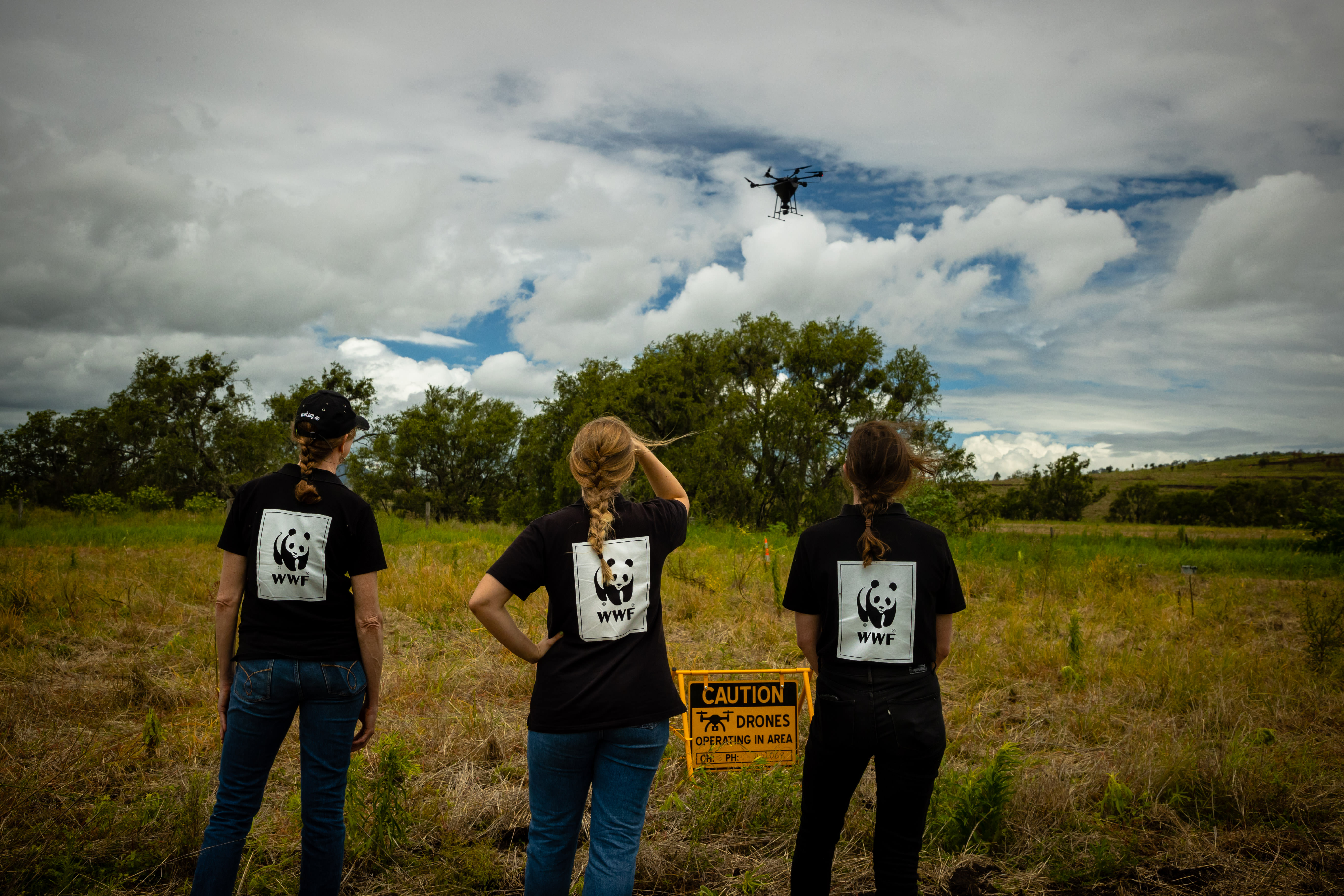 WWF-Australia drone seeding in Hidden Vale, Qld
