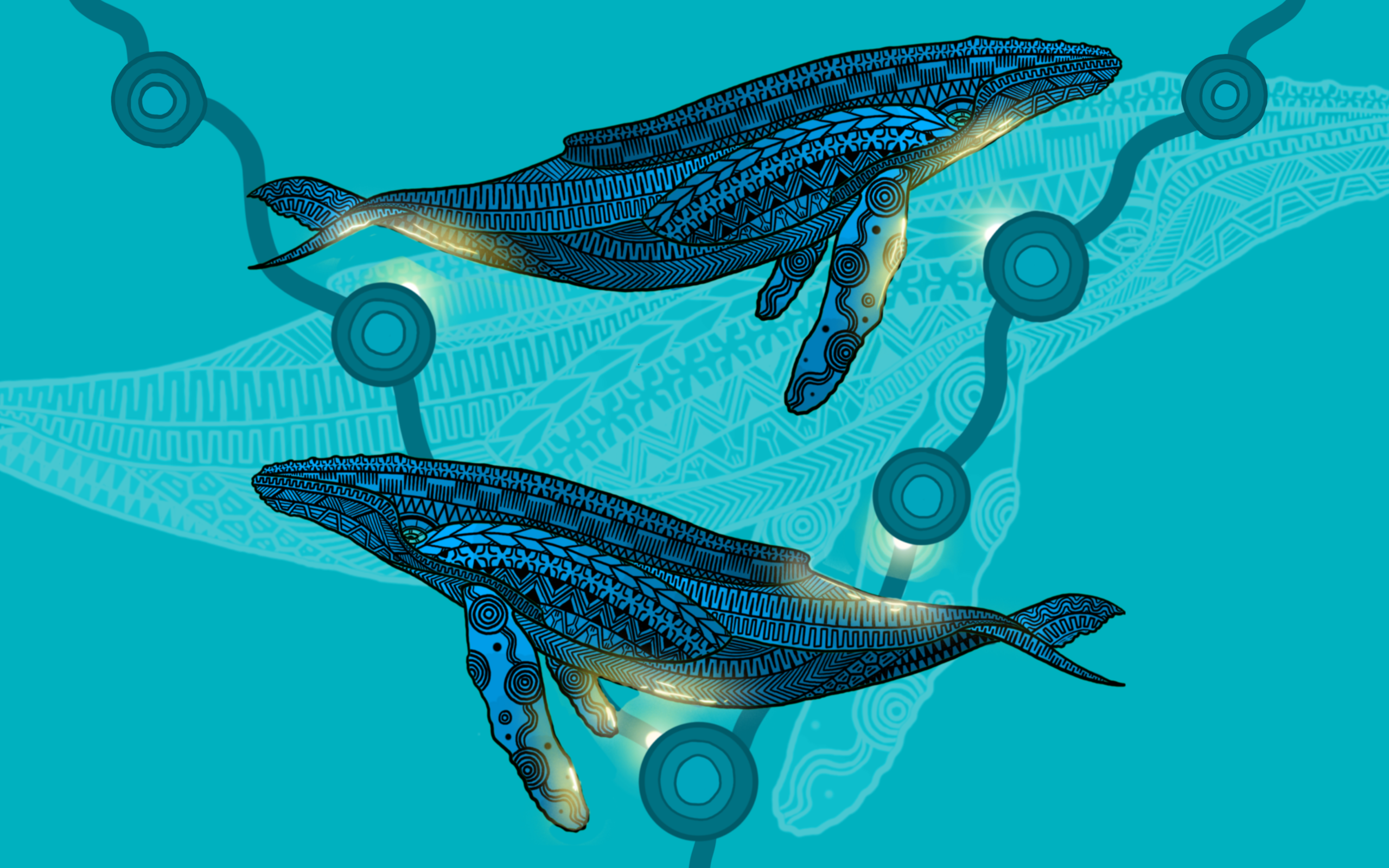 Indigenous humpback whale art from Jirrbal, Wagedoegam, Ngapuhi & Scottish artist Beau Pennefather-Motlop.