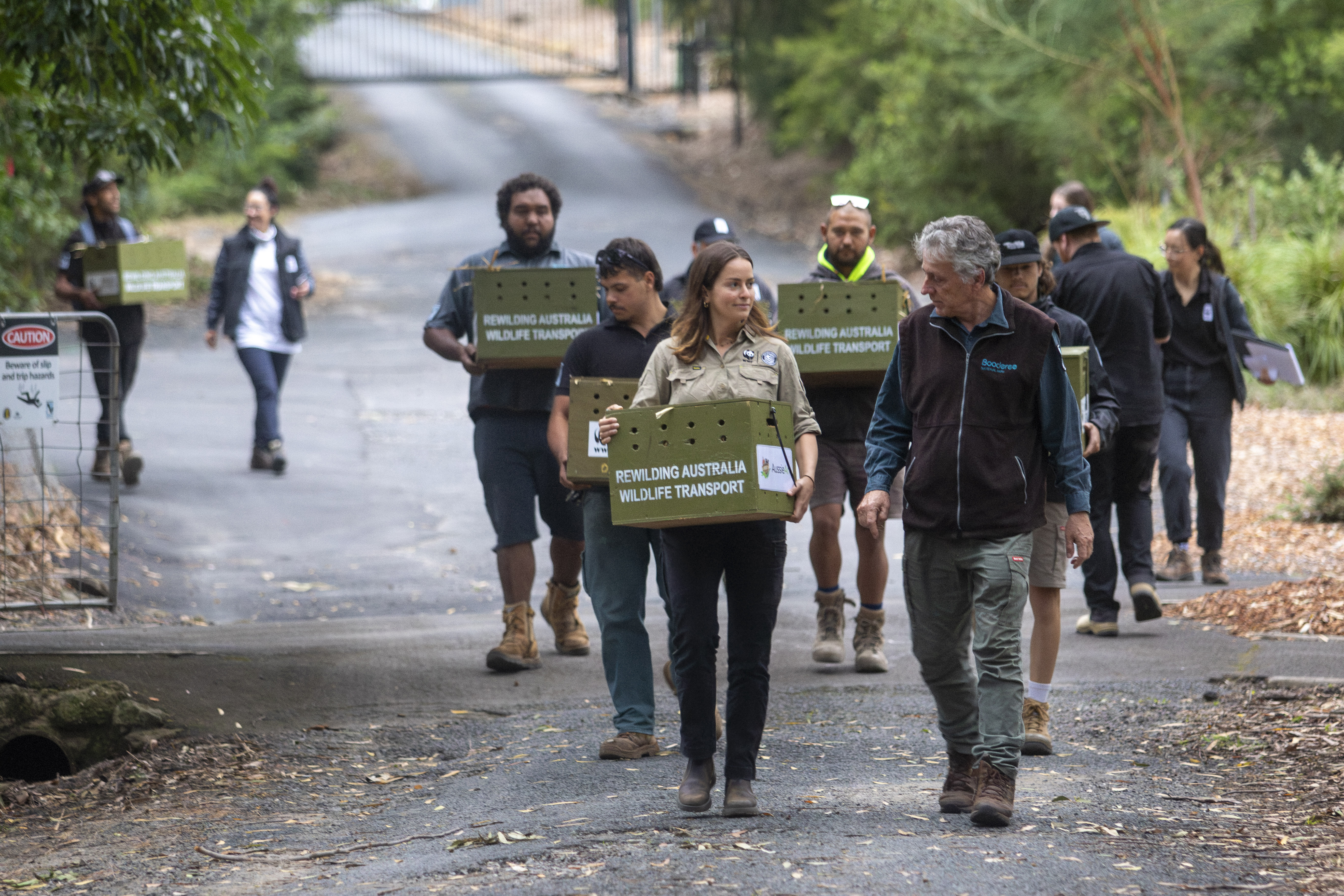 The team transporting eastern quolls inside their den boxes to the release site.