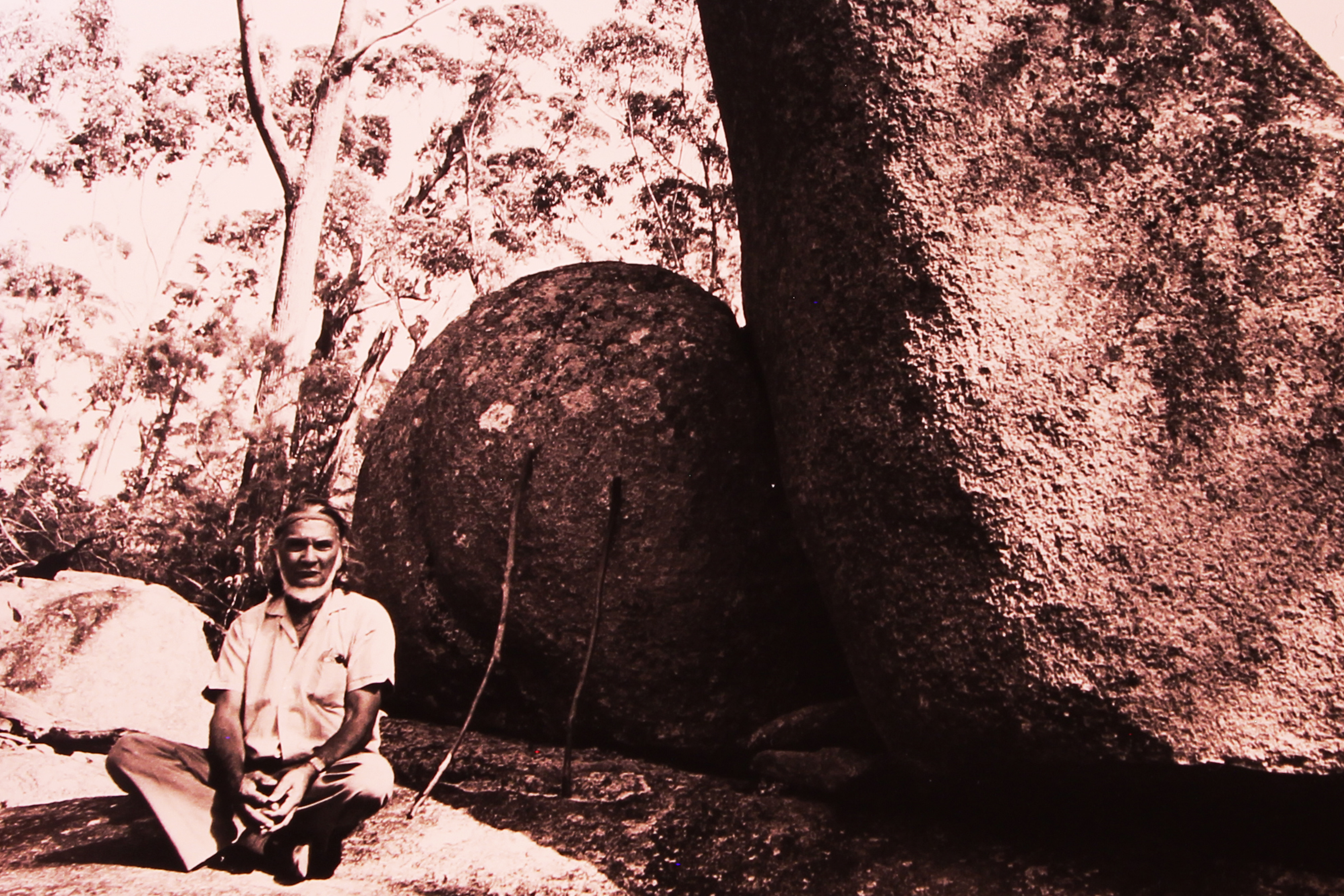 Guboo Ted Thomas led the fight to protect Biamanga Mountain from logging.